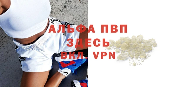 стаф Надым