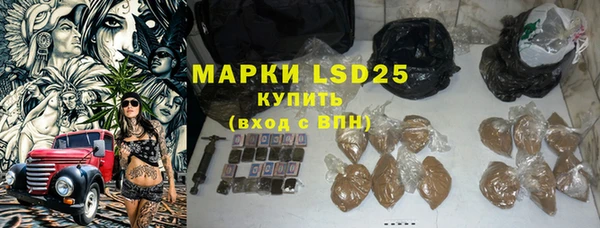 стаф Надым