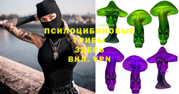 молекула духа Нея