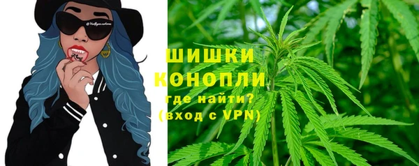 стаф Надым