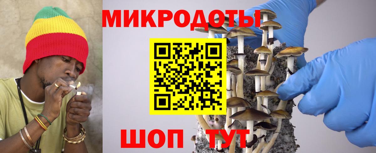 Псилоцибиновые грибы Psilocybine cubensis  Вход с VPN  Псилоцибиновые грибы мухоморы  где продают   Сургут 