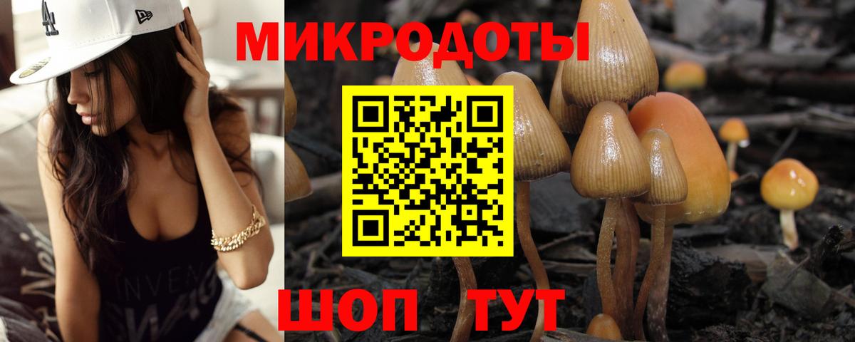 Псилоцибиновые грибы прущие грибы Сургут